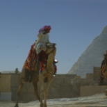 camelpyramid2
