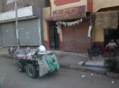 Donkey carts on street Luxor